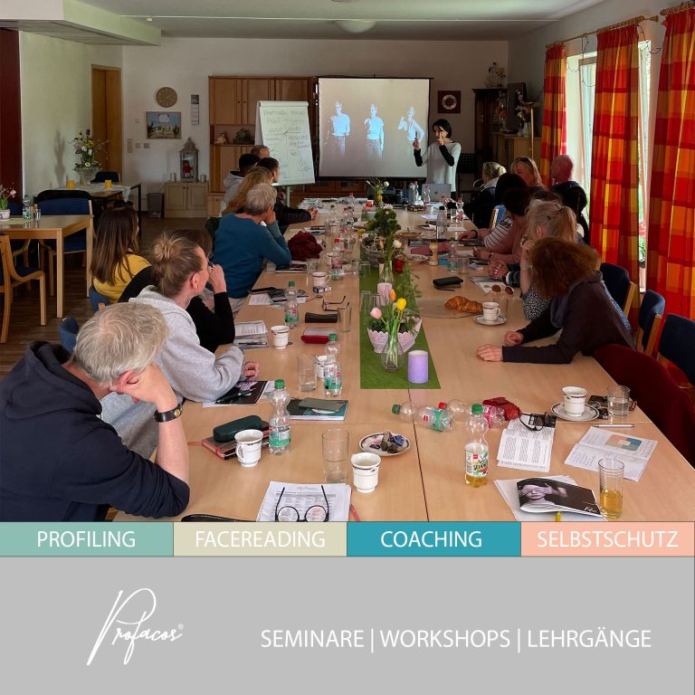 teamcoaching Führungskräfte coaching seminar Stressbewältigung Hamburg Deutschland profacos profiling